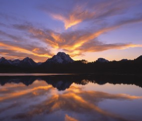 双侧有优势卵泡（双侧有优势卵泡会增加怀孕率吗）