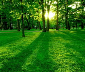 试管婴儿二代的成功率（试管二代好吗）