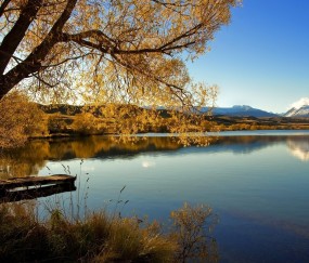 刚出去小孩胀气发烧怎么回事（出生小孩胀气怎么办）