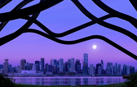 小孩光发烧没有其它症状（小孩光发烧没有其它症状是怎么回事儿）