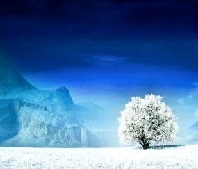 小孩发烧头痛可以洗澡吗（小孩发烧头痛可以洗澡吗冬天）