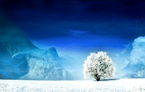 福州借卵生子机构医院，供卵助孕各阶段费用参考！（福州人工受孕医院）