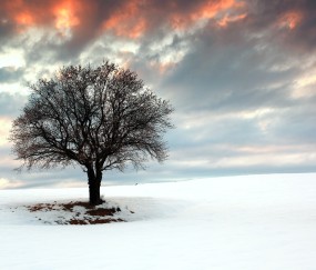 福州5家合法供卵生殖中心名单，借卵自怀生子机构一览！（福州试管供卵）