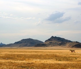 小孩流感发烧一般多久退烧（小孩流感发烧几天能退烧）
