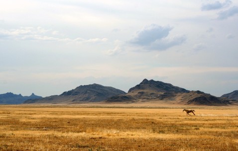 卵泡质量不好怀孕（卵泡质量不好怀孕了会怎样）