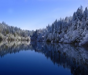 宝宝流鼻涕该怎么办