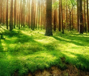 福州5家正规民营供卵机构名单，供卵单周期费用仅4万！（福州促排哪个医院好）