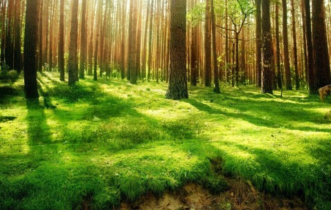 福州5家正规民营供卵机构名单，供卵单周期费用仅4万！（福州促排哪个医院好）