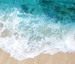 卵泡发育图片（卵泡发育曲线图）