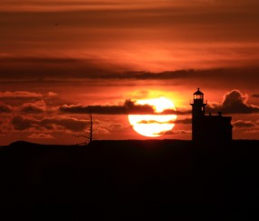 怎么知道卵泡是萎缩了（怎么判断卵泡是排出还是萎缩了）