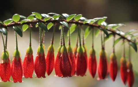 南昌供卵试管医院有哪些，附2024卵源等待时间！（南昌有做试管婴儿的医院吗?）