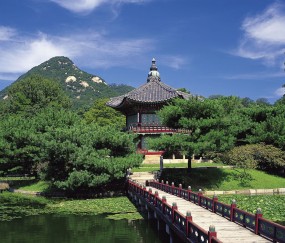 南昌正规的供卵助孕生殖中心，40岁以上供卵试管成功率多高！（南昌哪里做试管成功率最高）