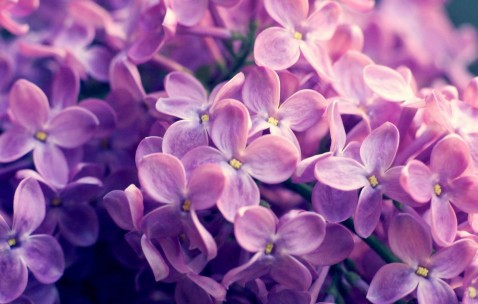 试管受孕成功率（试管成功率大不大）