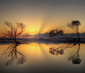 小孩退烧后隔一天又发烧（小孩烧退了一天第二天又烧了?）