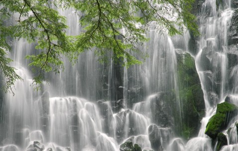 南昌供卵生殖机构名单大全，二代供卵价格不到4万！（南昌地下供卵试管）
