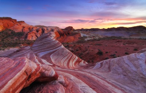 卵巢两侧较多小卵泡（双侧卵巢有小卵泡）