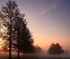 南昌私立供卵试管公司名单，供卵助孕各阶段费用参考！（南昌供卵试管婴儿）