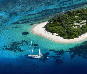 卵泡到排卵要多久（卵泡要排几天）