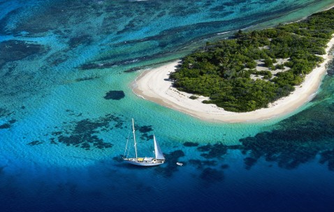 卵泡到排卵要多久（卵泡要排几天）