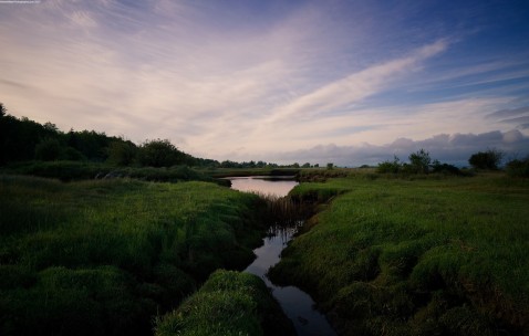 小孩发烧之后脸上有淤血点（小孩发烧后脸上有出血点）