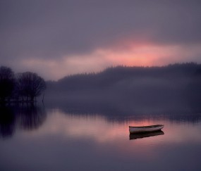 小孩感冒发烧牙齿发黑（孩子发烧后牙龈紫黑）
