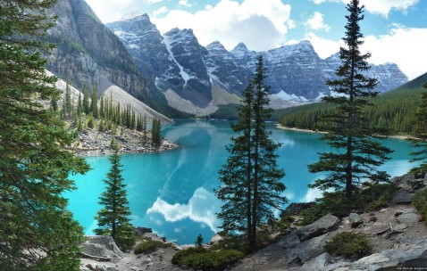 闭锁卵泡是指（闭锁卵泡是指退化的什么卵泡）