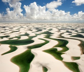 怀孕了卵泡还会发育吗（怀孕了卵泡还会排出来吗）