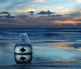 多囊促排卵泡多10个（多囊卵巢促排卵泡过多）