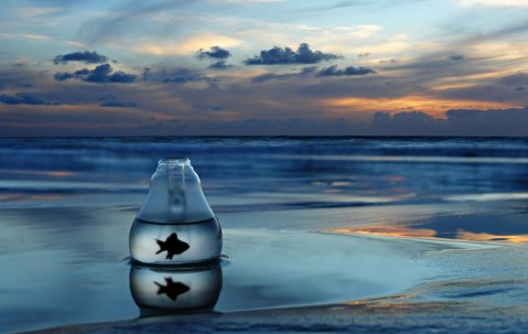 多囊促排卵泡多10个（多囊卵巢促排卵泡过多）