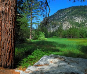 南昌借卵生子机构医院，高龄借卵试管成功率有多少！（南昌试管婴儿费用大概要多少钱）