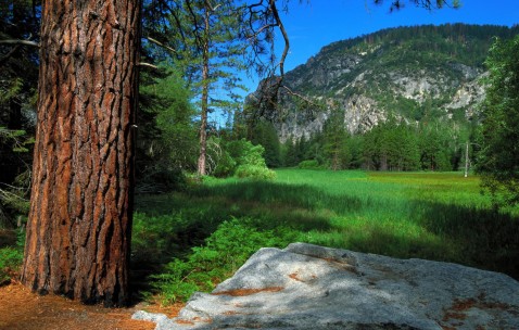 南昌供卵生殖机构名单大全，共有5家医院满足患者要求！（南昌生殖医院做试管怎么样）