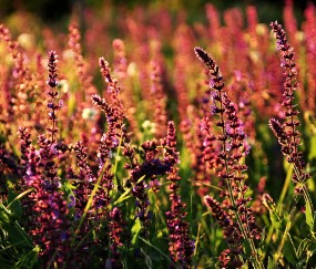 29岁试管婴儿成功率（28岁试管婴儿）