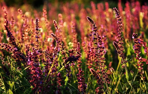 29岁试管婴儿成功率（28岁试管婴儿）