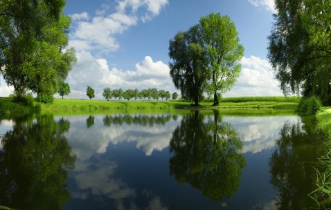 女的没有卵泡可以怀孕（女性没有卵泡是不是不会怀孕?）