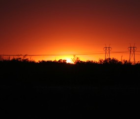 卵泡发育缓慢吃什么（卵泡发育慢吃什么能促卵泡发育）