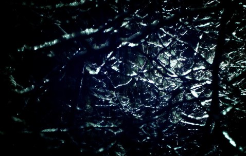 小孩发烧火大用羚羊泡水喝可以吗（小孩子发烧能喝羚羊水吗）