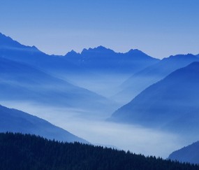 卵泡直径20（卵泡直径20mm不排卵）