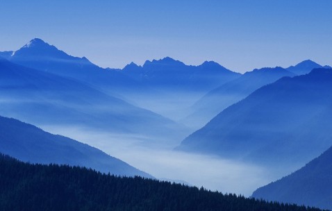 试管婴儿二胎成功率（试管婴儿二胎能决定男女吗）