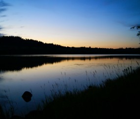 卵泡监测没有优质卵泡（卵泡监测没有优势卵泡）