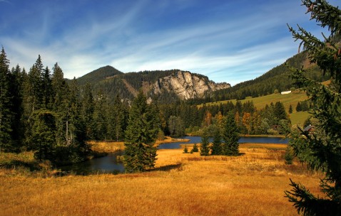 南昌供卵试管医院有哪些，供卵全流程花费明细！（南昌供卵试管婴儿）