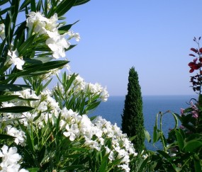 小孩发烧好后吐痰有血（宝宝发烧后吐痰是好事吗）