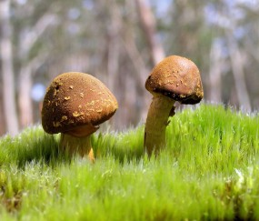 70岁空腹血糖10严重吗（70岁老人空腹血糖106怎么治疗）