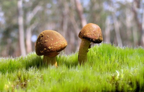 70岁空腹血糖10严重吗（70岁老人空腹血糖106怎么治疗）