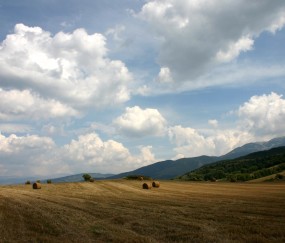 小孩发烧喝洋葱炖水有帮助吗（发烧喝洋葱水有用吗）