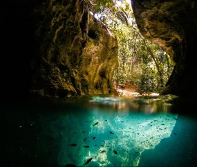 卵泡数量会变化吗（卵泡数量固定吗）