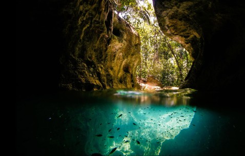 卵泡数量会变化吗（卵泡数量固定吗）