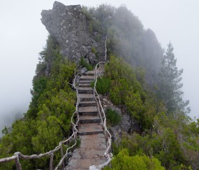 卵泡期困（卵泡期身体非常累爱睡觉）
