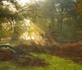 怀孕67天孕囊正常多大（怀孕67天孕囊大小标准）