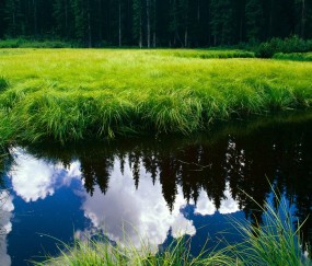 两个卵泡是多囊（多囊有两个卵泡）