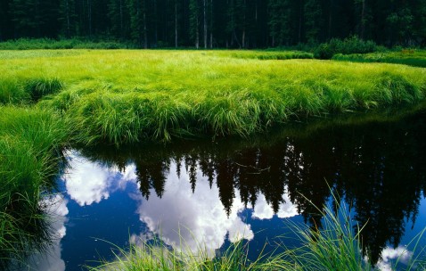 两个卵泡是多囊（多囊有两个卵泡）